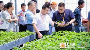 China Champions Innovation To Boost Potato Production