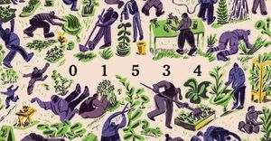 New York Times Expands Puzzle Catalog With Pips