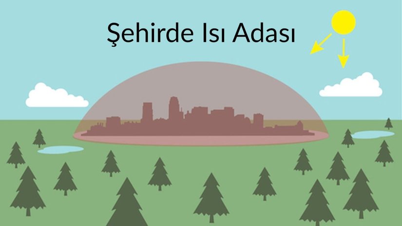 Kentsel Isı Adası Nedir? Nasıl Oluşur? Nasıl Önleyebiliriz?