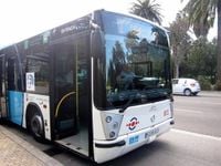 Málaga refuerza los servicios de autobús con motivo de la Noche en Blanco: estos son los horarios