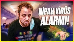 Nipah Vir&uuml;s&uuml; Pandemiye D&ouml;n&uuml;ş&uuml;r m&uuml;?