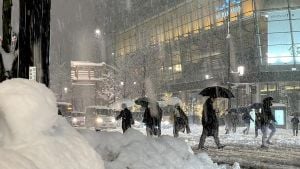 Japan Faces Extreme Weather: Snowfall And Warmth Impact Regions