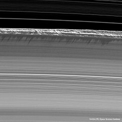  Propeller Shadows on Saturn's Rings 