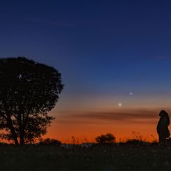  Venus and Jupiter on the Horizon 