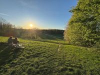 Wetter in Köln und Region: Erst viel Sonne, dann folgt der Temperaturabsturz