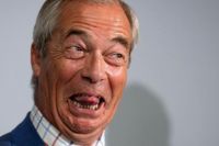 Voices: You can’t demand seats in the Lords and still be an establishment rebel, Mr Farage
