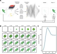 Development necessitates evolutionarily conserved factors - Scientific Reports