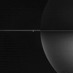 Thin Rings Around Polarized Saturn