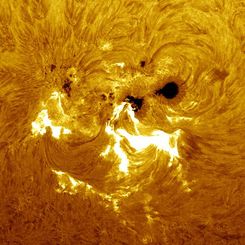 A Large Active Region Crosses the Sun