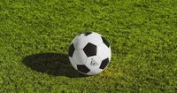 Longtime Seattle Sounders, Reign CFO Steps Down