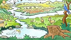 Ekosistem hizmetleri ve iklim değişikliği: Potansiyel riskler, fırsatlar ve uyum stratejileri