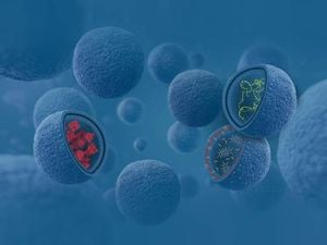 Innovative Vaccine Technologies Aim To Enhance Global Health