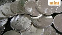 Silver Price Today LIVE: Silver rebounds but still down 2% from record high; check spot prices in Delhi, other cities | Stock Market News