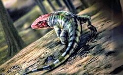 Yeni Fosil Keşfi, Sürüngen Evrimini 40 Milyon Yıl Geriye Götürdü.