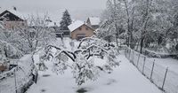 Météo. Orages, neige sur les Alpes... la tempête Hans frappe l'Hexagone ce jeudi