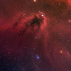  LDN 1622: Dark Nebula in Orion 