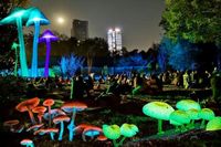 Picnic Nocturno Bioluminiscente 2025 en Chapultepec: Fecha, horario y actividades