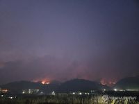 산불로 의성 운람사 전소…아미타3존 등 유물 긴급 대피