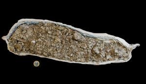 Dinosaur Coprolites Unveil Secrets Of Ancient Diets