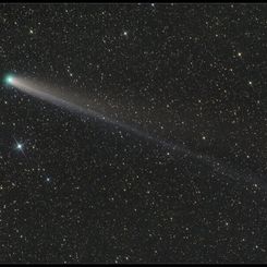  Lovejoy in the New Year 