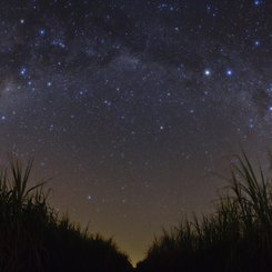 A Starry Night in Brazil