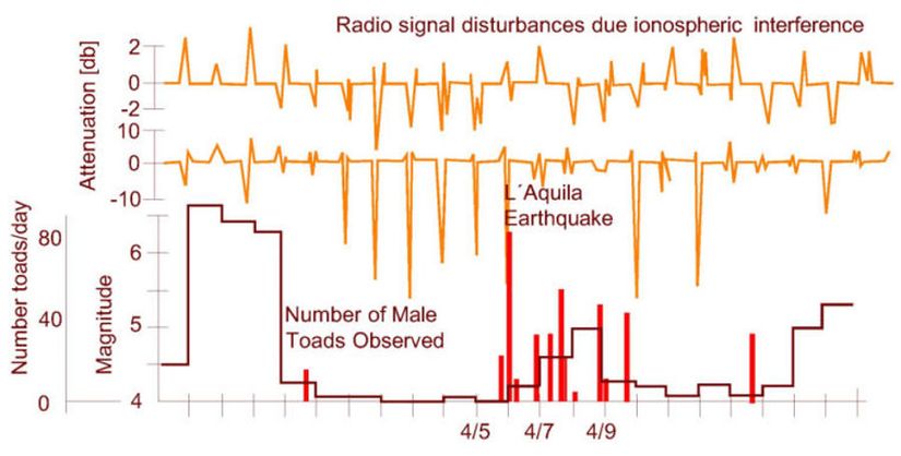 Üstteki çizgi iyonosferdeki girişimler (interference) nedeniyle radyo sinyallerindeki bozulmaları göstermektedir. Önerilen senaryoya göre, tektonik gerilimler nedeniyle yer seviyesinde biriken pozitif yükler iyonosferi etkiledi, ve bu yüzden iyonların kara kurbağalarının ortamına salınımının temsili olarak kullanılabilirdi. Sonunda kara kurbağaları bu iyonların neden olduğu kimyasal değişikliklere tepki gösterdi.