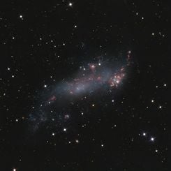 IC 2574: Coddington's Nebula