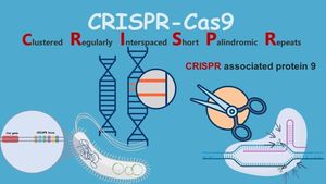 Cas13d Revolutionizes Genetic Interaction Mapping Techniques