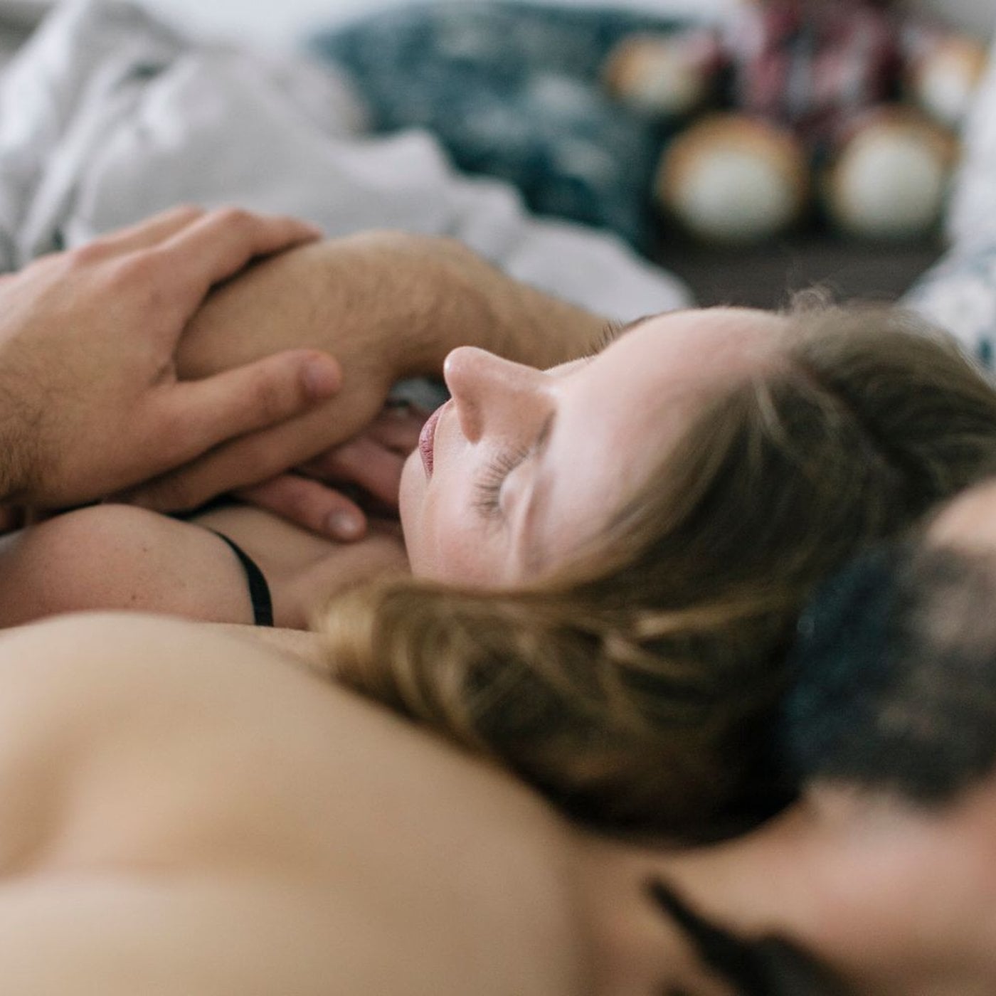 Evrim Ağacı ile Bilime Dair Her Şey!