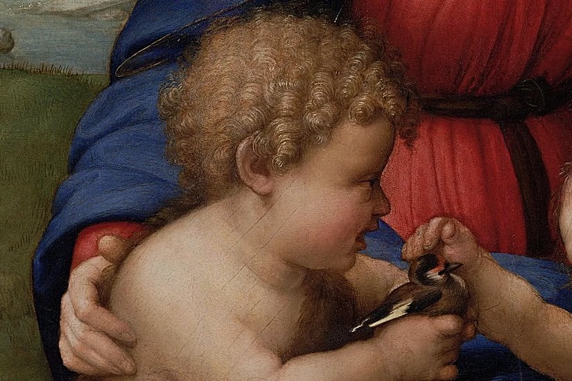 Madonna del Cardellino, Raphael Sanzio, 1506.