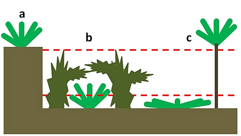 Görsel 1: Konumsal korunaklar Bitkiler, yukarıdaki görselde gösterildiği gibi, otçulların ulaşamadığı alanlarda büyüyerek otçulluğun etkilerini azaltabilir. Kırmızı kesik çizgiler bir otçulun bitkiye erişip yiyebildiği alanı göstermektedir. Burada gösterilen korunak tipleri (a) uçurumun ya da platonun tepesindeki jeolojik korunaklar, (b) otçulun yaklaşmasını engelleyebilen ya da yaklaşanı uzaklaştırabilen bitkilerin altındaki biyotik korunaklar ve (c) otçulun otlama seviyesinin altında veya üstünde kalan konumsal korunaklardır.