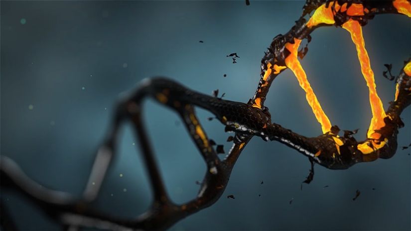 DNA