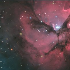 A Beautiful Trifid