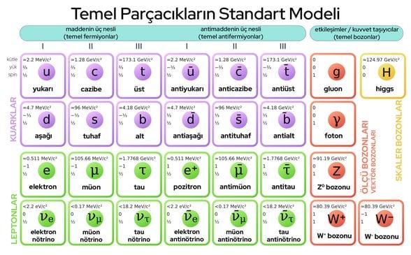 Temel Parçacıklar