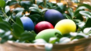 Antipasha Celebrates Spring And Love On April 27