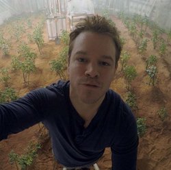 The Martian filimindeki gibi; Mars toprağını ve dünyadan getirdiğimiz suyu kullanarak, dünyada bulunan bir bitkiyi yetiştirebilir miyiz?