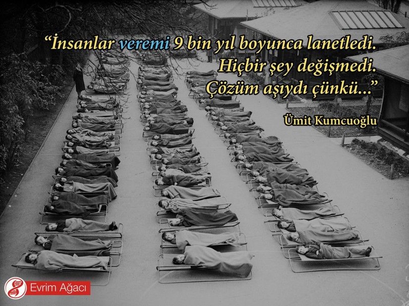 Londra'da bulunan Springfield Evi Açık Hava Okulu'nun avlusunda 1932 yılında çekilmiş bir fotoğraf. Verem hastası çocukların dışarıda uyuması isteniyordu; çünkü açık hava ve Güneş ışığının hastalığı iyileştirdiğine inanılıyordu. 20. yüzyılın başında her gün sadece ABD'de 450 kişi verem nedeniyle hayatını kaybediyordu. Bu dönemde verem, "ölüm" ile eş anlamlı idi. Günümüzde ise basit bir aşıyla önlenebilecek, yakalanıldığı halde ise antibiyotik tedavisiyle yok edilebilen bir hastalık.