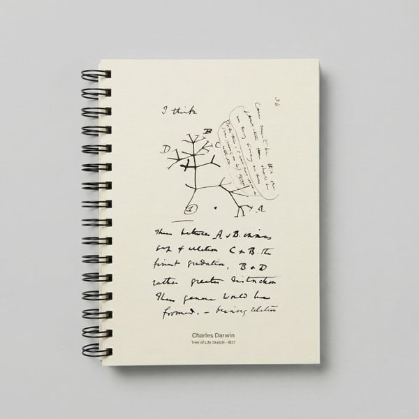 Darwin Yaşam Ağacı A5 Defter - 120gr 80 Yaprak Ivory (Fil Dişi)