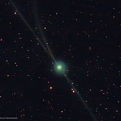  Almost Three Tails for Comet Encke 