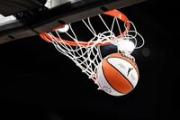 Cryptocurrency group takes responsibility for green sex toys thrown at WNBA games