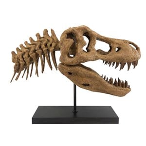 T. rex No.2