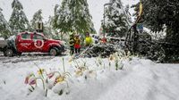 Heftige Schnee- und Regenfälle: Straßen und Bahnstrecken in der Schweiz gesperrt
