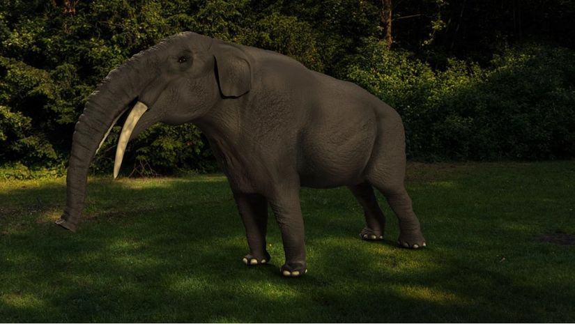 Gomphotherum paşalarense endemik Hortumlu türüne ait paleoart çalışması