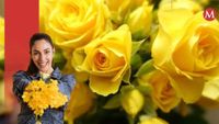 Dónde comprar flores amarillas en León para regalar 21 de marzo 2025