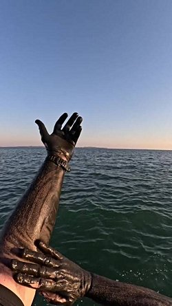 UV Işınlarından Kaçınarak, Mürekkep Balığı Mürekkebi ile Ciltte Bronzlaşma Sağlamak Mümkün Müdür? Bu Yöntem Zararlı Etkilerden Kaçınmayı Sağlar Mı?