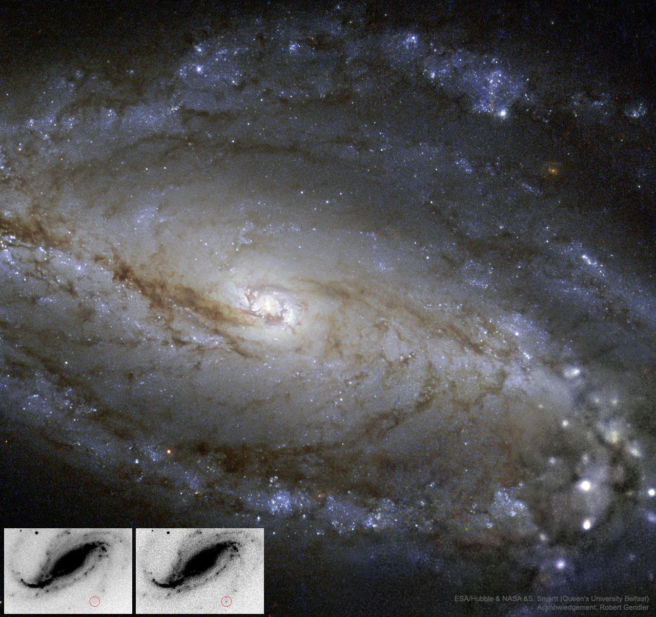  NGC 613 in Dust, Stars, and a Supernova 