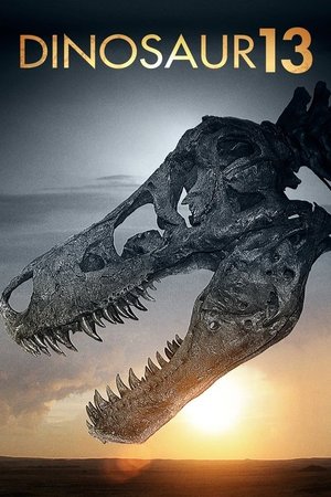 Dinosaur 13