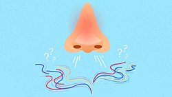 Eğer Koku ve Tat Alma Duyunuzu Kaybettiyseniz, Koronavirüsün "Gizli Taşıyıcısı" Olabilirsiniz!