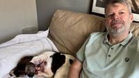 Dog left with horrific injuries after being bitten by venomous snake