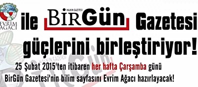 Evrim Ağacı ile BirGün Gazetesi Güçlerini Birleştiriyor!